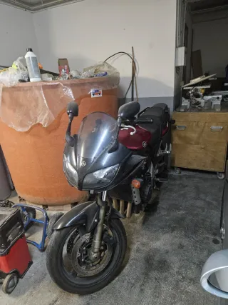 Yamaha FZ1 1000 Naked