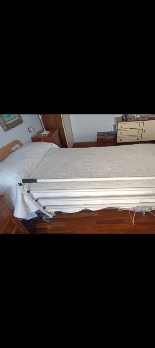 Cama articulada hospitalaria