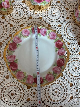 Set Porcellana CT Altwasser Germania Rose