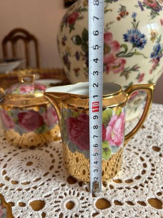 Set Porcellana CT Altwasser Germania Rose