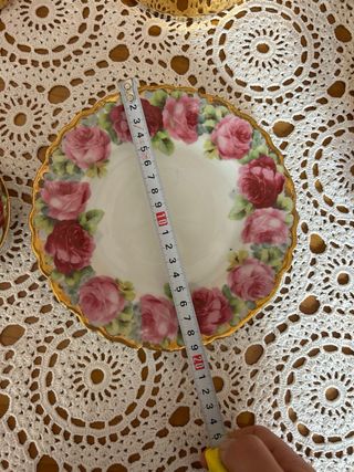 Set Porcellana CT Altwasser Germania Rose