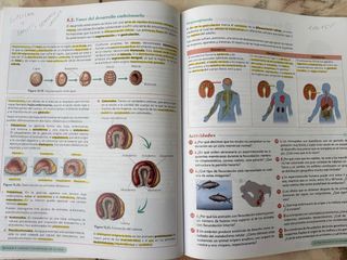 Biología, Geología y CC. Ambientales 1º Bachill...