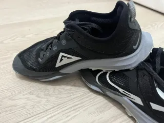 Zapatillas Nike Trail Zoom Terra 8