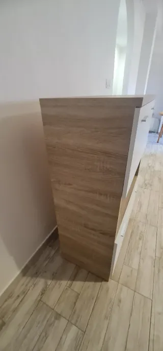 Conjunto Muebles Salón y Recibidor