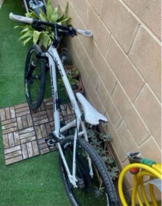 Bicicleta MSC WCR CATAL