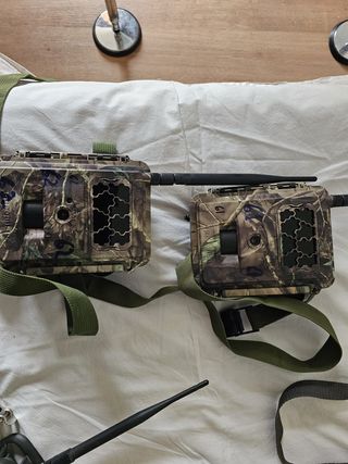 Lote 17 Cámaras Trampa Caza Trail