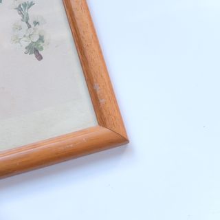 Cuadro Vintage Litografía Cerezos