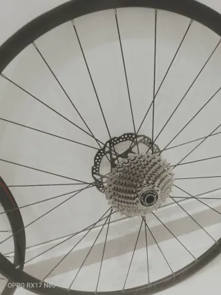 Ruedas Merida Expert SL