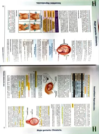 Temario OPE enfermería SAS
