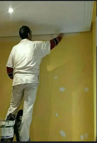 Servicio de Pintura Económico