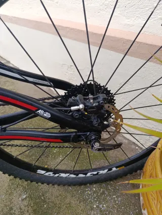 Bicicleta Doble Montaña 29