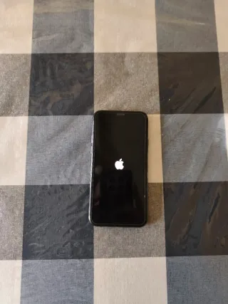 iPhone 11 Pro 256GB Gris Espacial