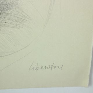 LITOGRAFIA FAUSTO MARIA LIBERATORE VOLTO DI DONNA