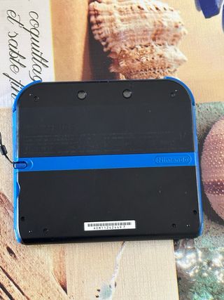 Nintendo 2DS Nera e Blu