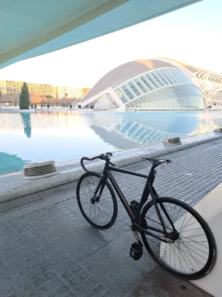 Bicicleta Fixie Piñón Fijo