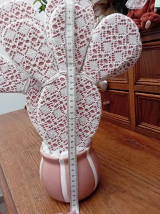 Pianta decorativa cactus