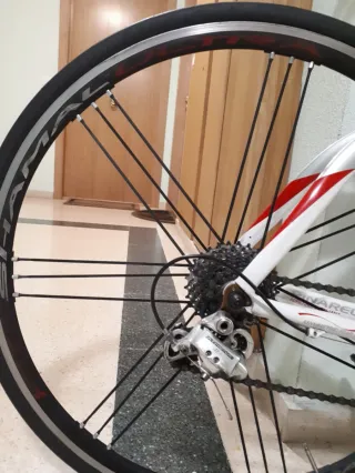 Bicicleta Pinarello Carbono