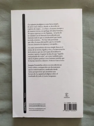 La Zapatera Prodigiosa