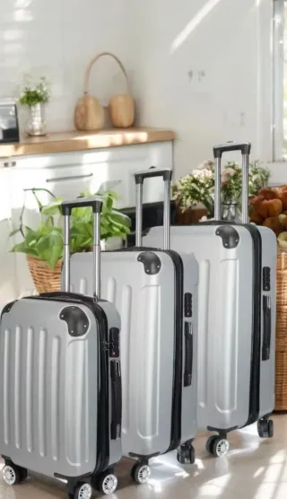 Set 3 Valigie Argento 20-24-28 Pollici