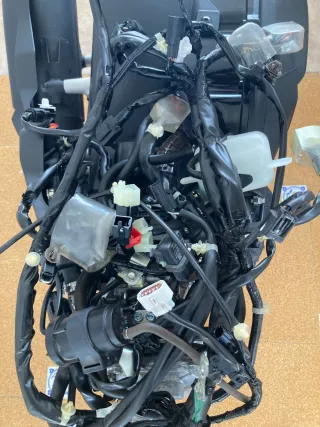 Motor Honda PCX 2024 Completo