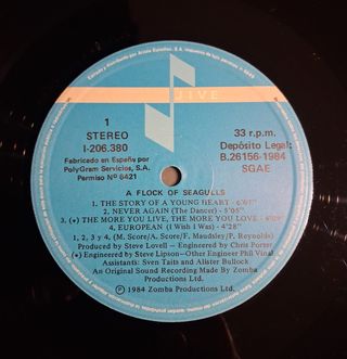 A Flock Of Seagulls - The Story Of A Young Heart