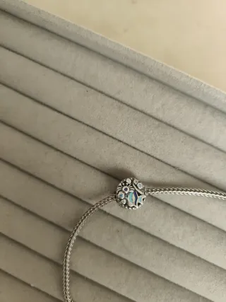 Charm Pescadito Azul y Plata