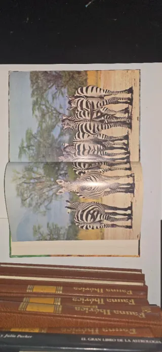 La Naturaleza- Animales Salvajes