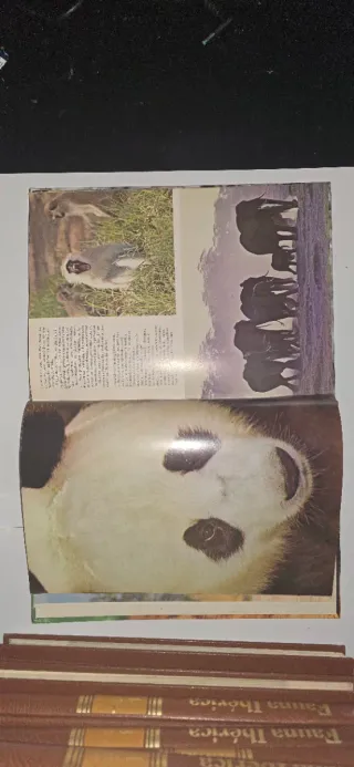 La Naturaleza- Animales Salvajes