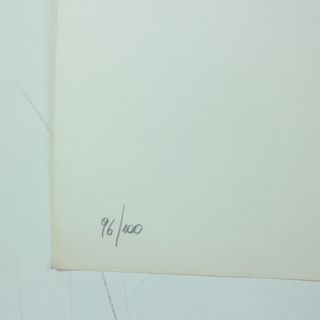 SERIGRAFIA LITOGRAFIA LIDIA BAGNOLI 96/100 1977