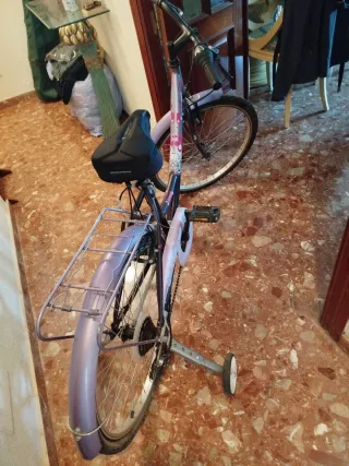 Bicicleta niña con ruedines morada
