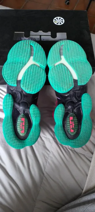 Nike LeBron XIX perfectas
