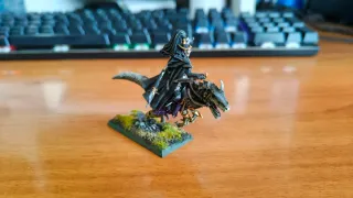 Hechicera en Gélido | Warhammer Fantasía