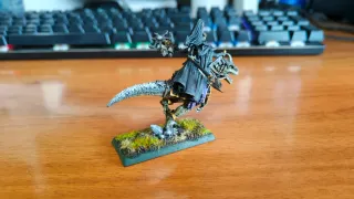 Hechicera en Gélido | Warhammer Fantasía