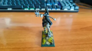 Hechicera en Gélido | Warhammer Fantasía