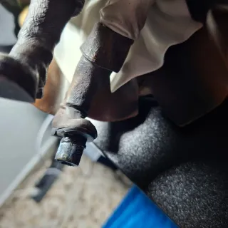 Figura Assassin's Creed Black Flag