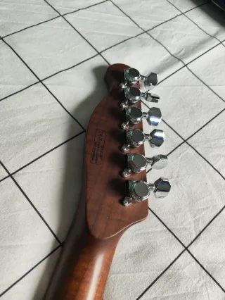 CAMBIO Harley Benton Fusion-T HH Roasted