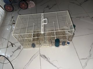 Jaula doble con 9 bebederos