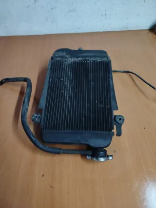 Radiador Honda SH 300 (2010)