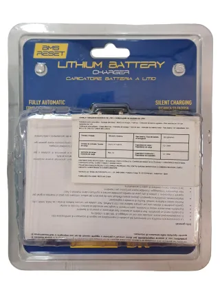 Cargador Batería Litio Magneti Marelli BK CH1M-LT
