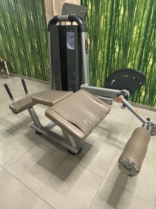 Lote maquinas gimnasio