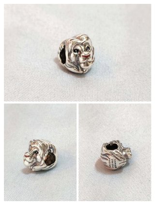 Conjunto Rey León