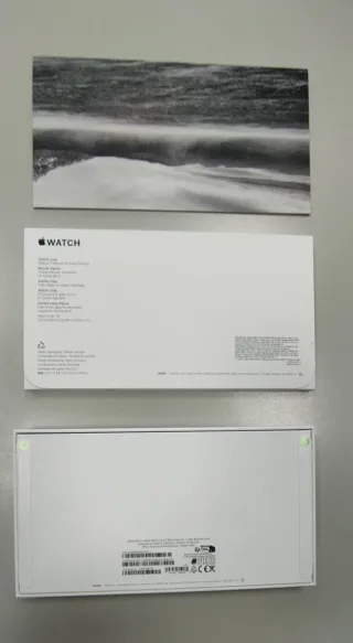 Apple Watch Ultra Titanio Grigio/Arancio