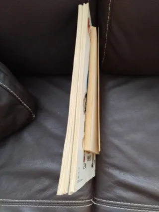 Forges, los toros, los historiciclos