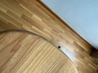 Austin Jazz Bass Guitar