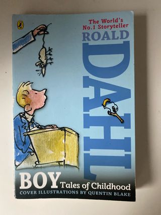 Boy: Tales of Childhood