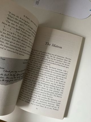 Boy: Tales of Childhood