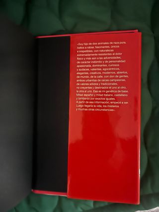 Libro el hijo del capitán trueno