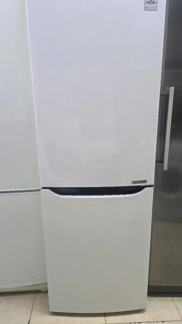Frigorífico LG Inverter Motor No Frost Class A ++