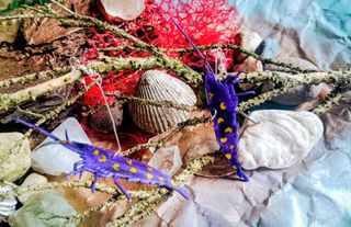 Pendientes y llavero de animales marinos artesanal