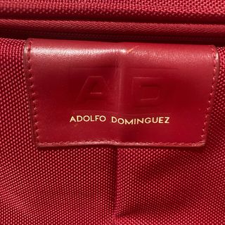 Neceser Adolfo Dominguez Rojo